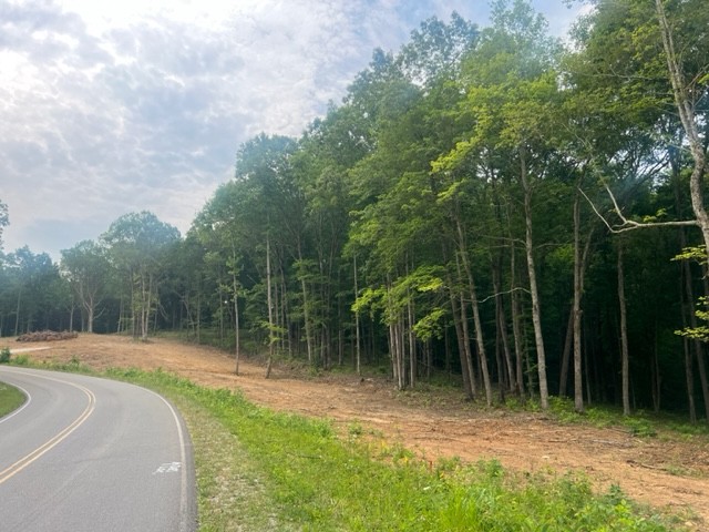 0 Jones Creek Road Lot 1