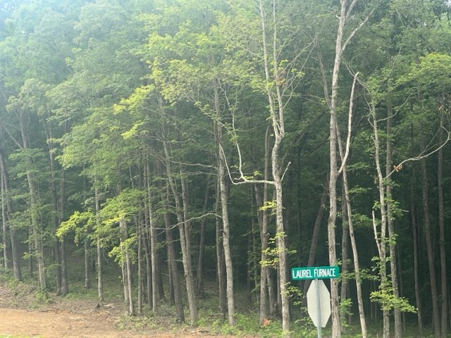 0 Jones Creek Road Lot 1