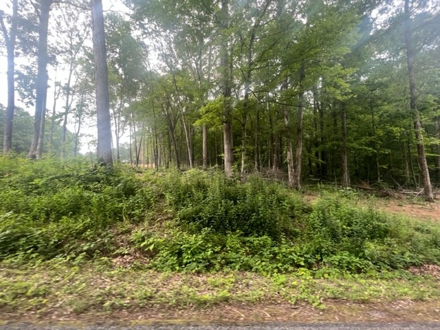 0 Jones Creek Road Lot 1