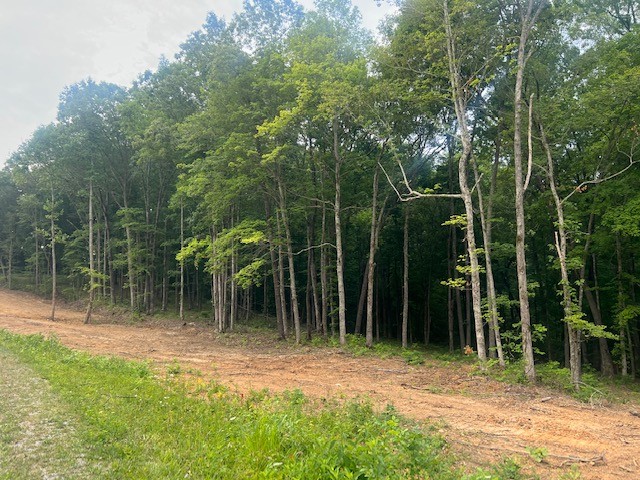 0 Jones Creek Road Lot 1