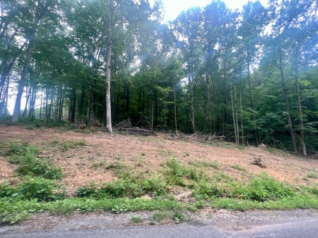 0 Jones Creek Road Lot 1