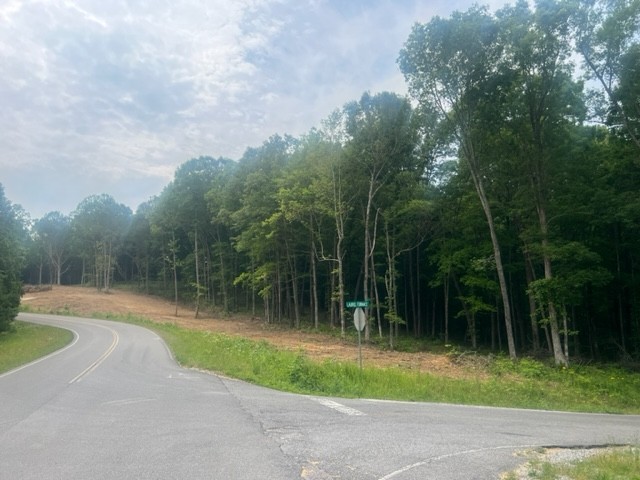 0 Jones Creek Road Lot 1