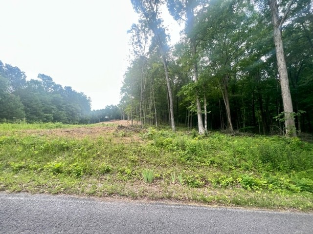 0 Jones Creek Road Lot 1