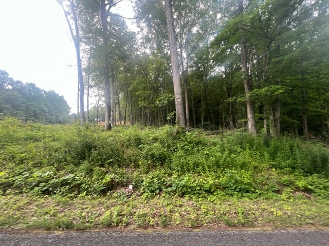 0 Jones Creek Road Lot 1