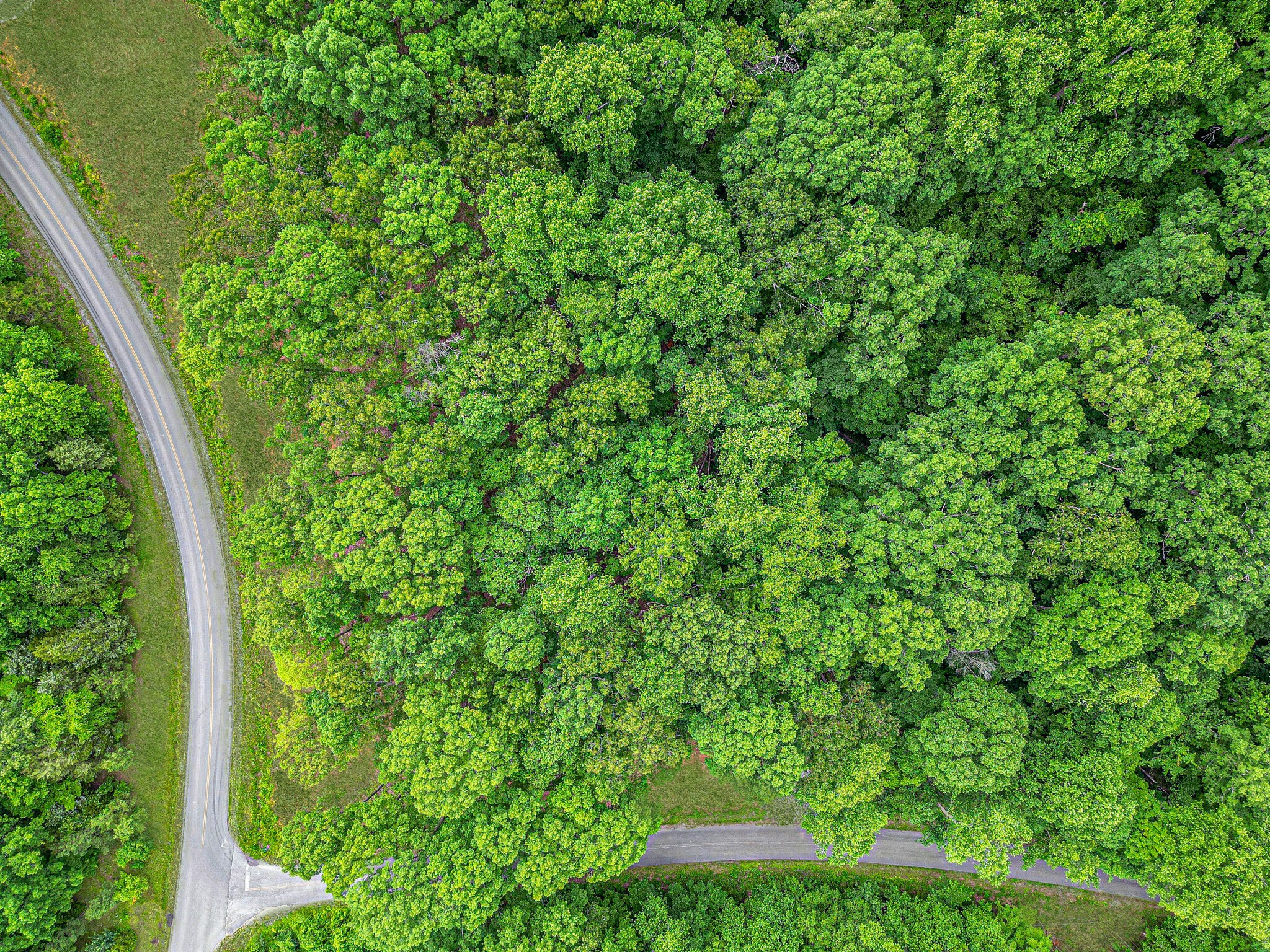 0 Jones Creek Road Lot 1