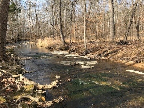 0 Jones Creek Road Lot 1