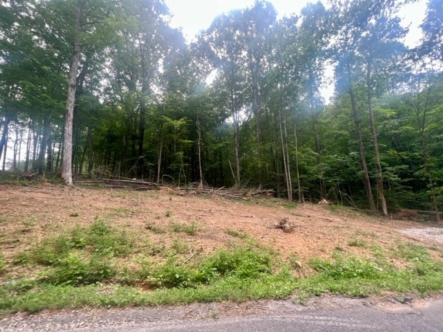 0 Jones Creek Road Lot 1