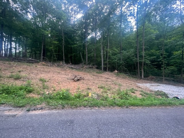 0 Jones Creek Road Lot 1