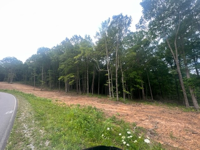 0 Jones Creek Road Lot 1