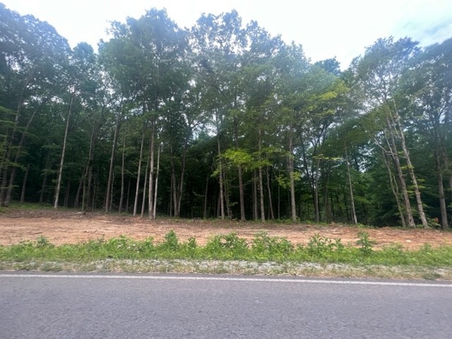0 Jones Creek Road Lot 1