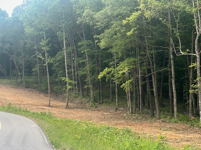 0 Jones Creek Road Lot 1