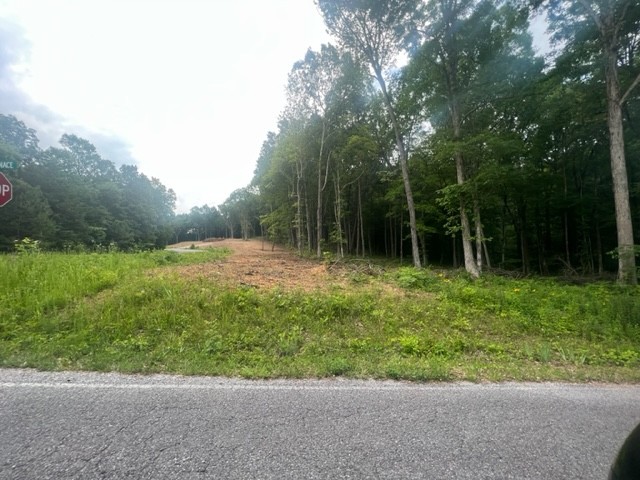 0 Jones Creek Road Lot 1
