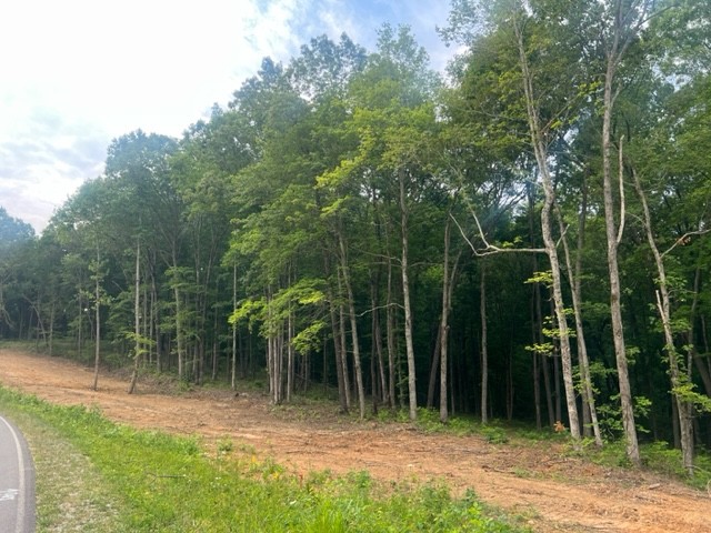 0 Jones Creek Road Lot 1