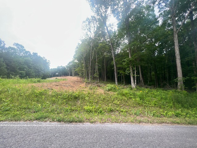 0 Jones Creek Road Lot 1