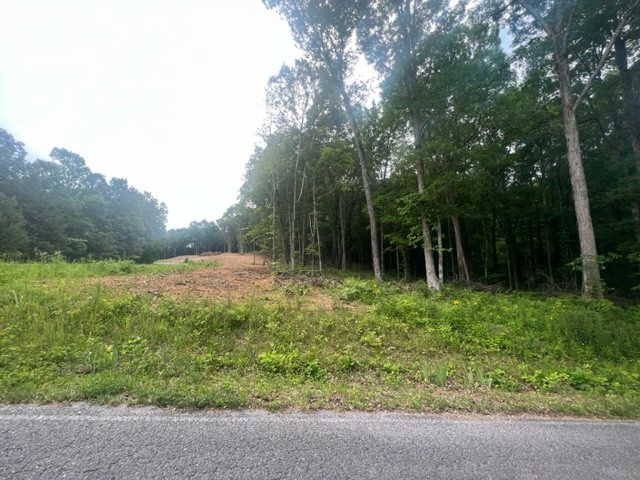 0 Jones Creek Road Lot 1