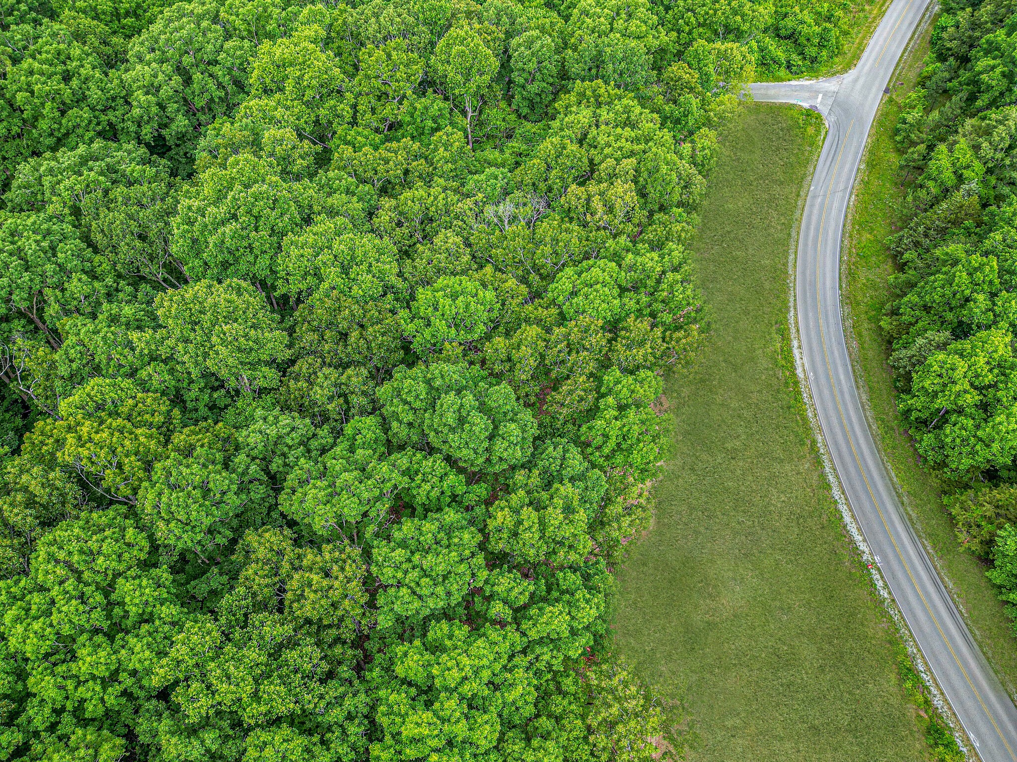 0 Jones Creek Road Lot 1