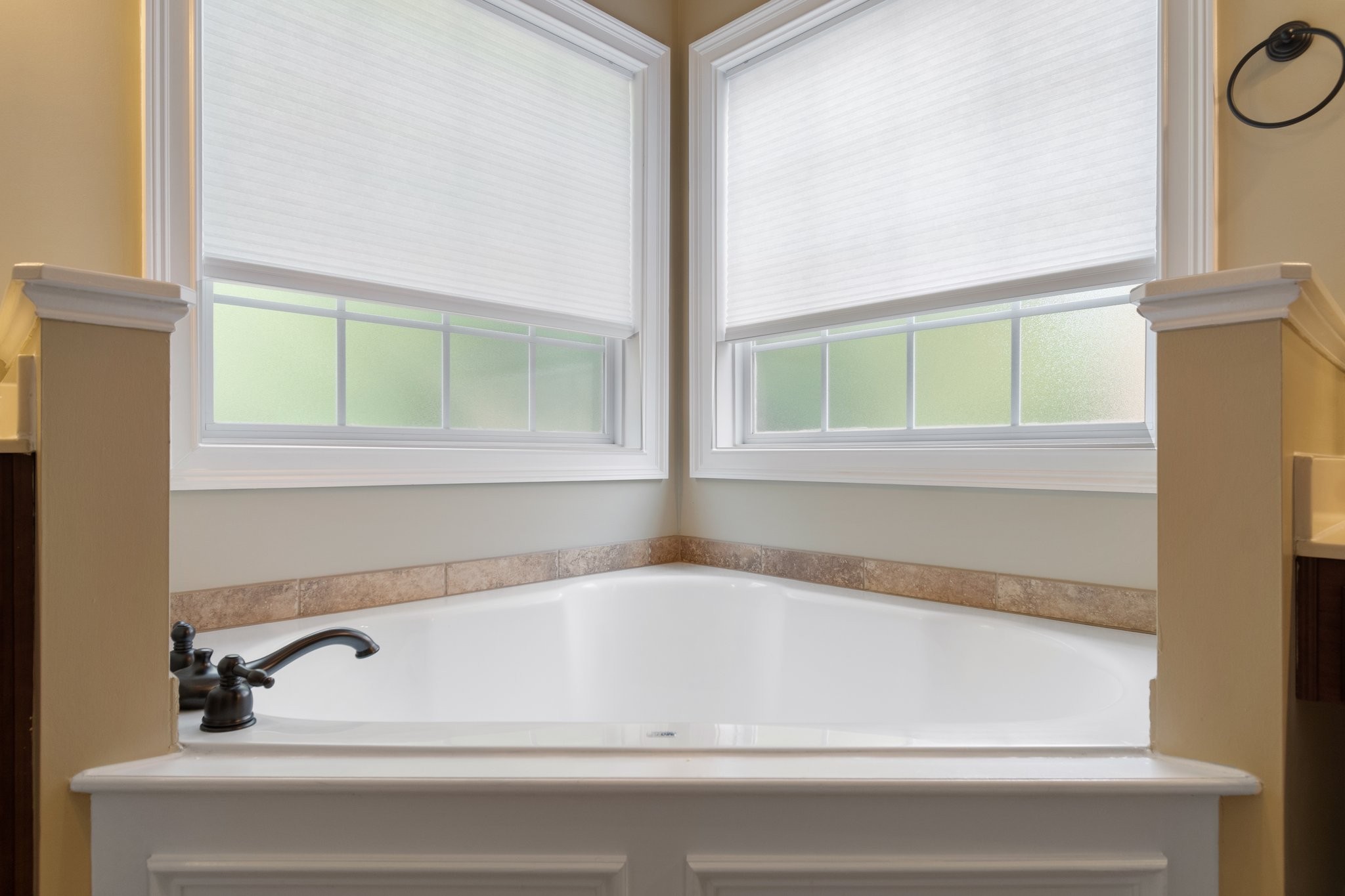 1060 Alice Springs Cir