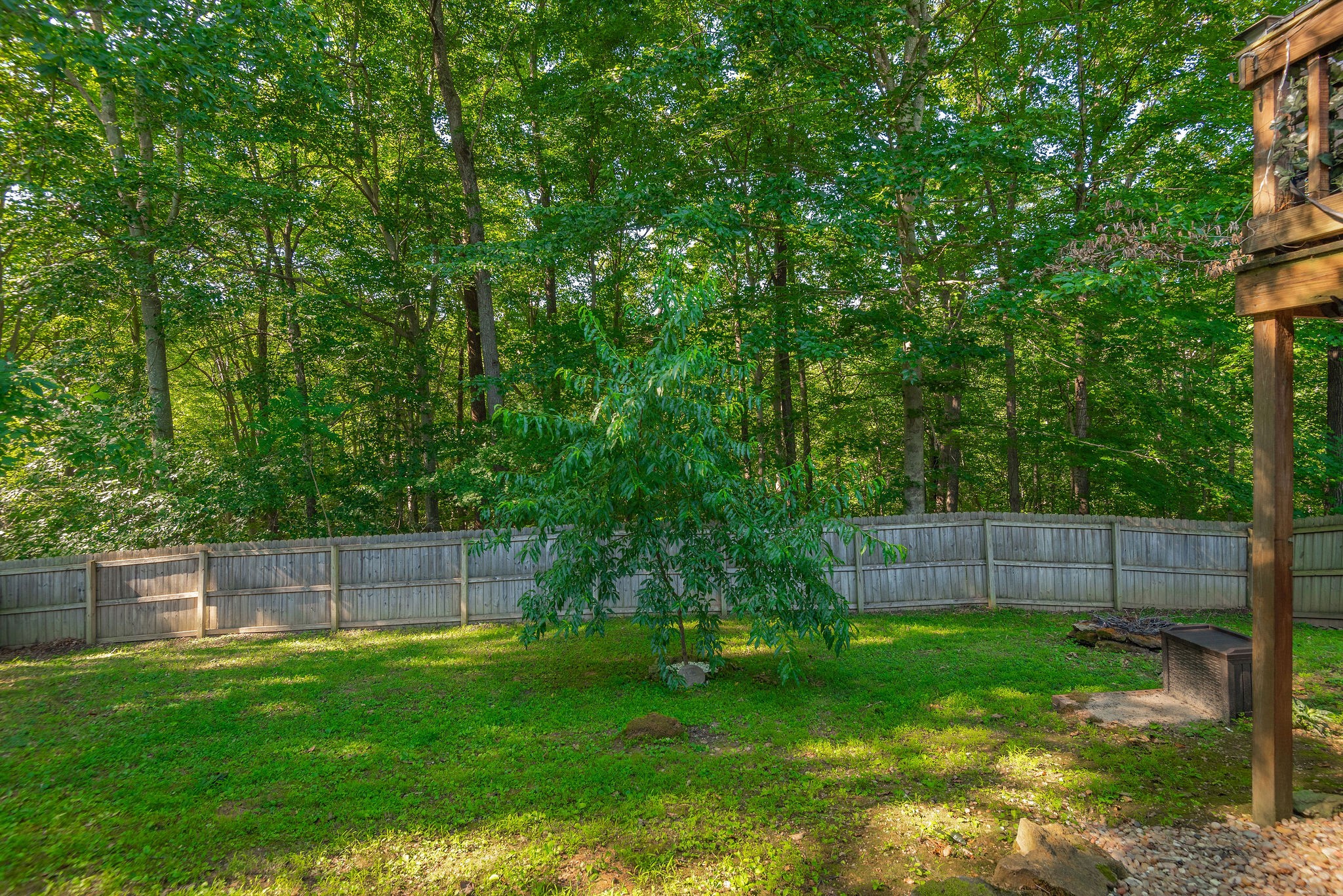 1037 Hollis Ln