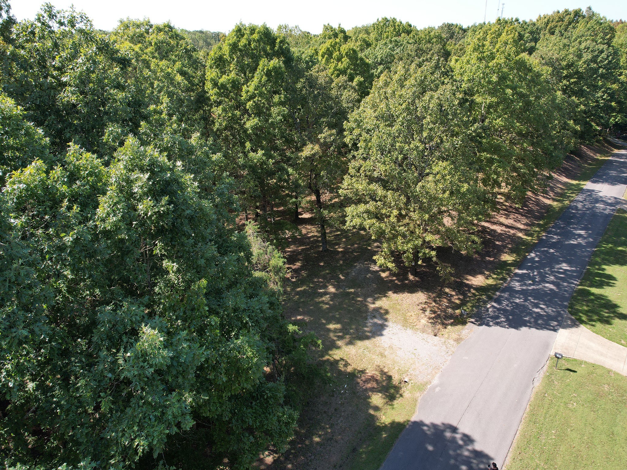 1060 Holcomb Cir