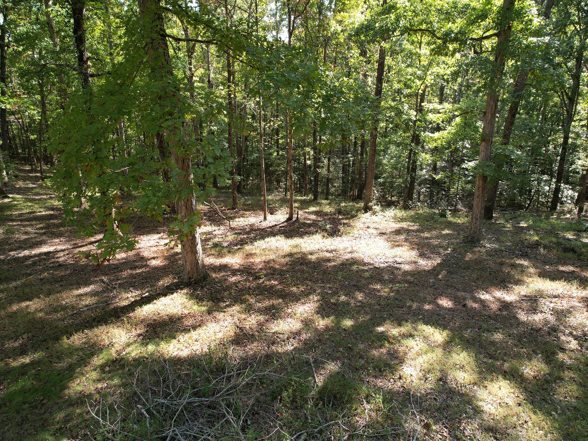 1060 Holcomb Cir