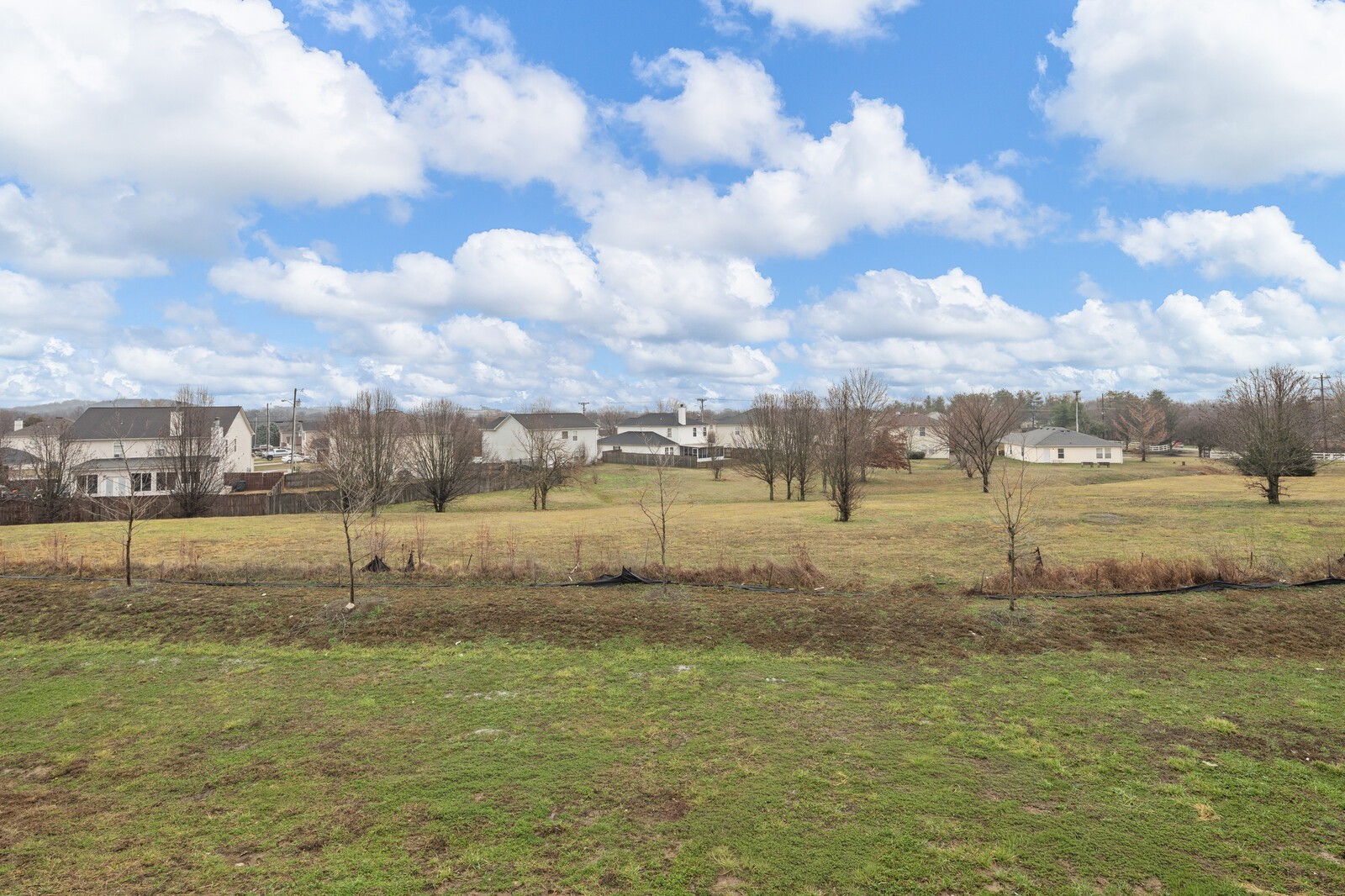 460 Buckwood Avenue, W