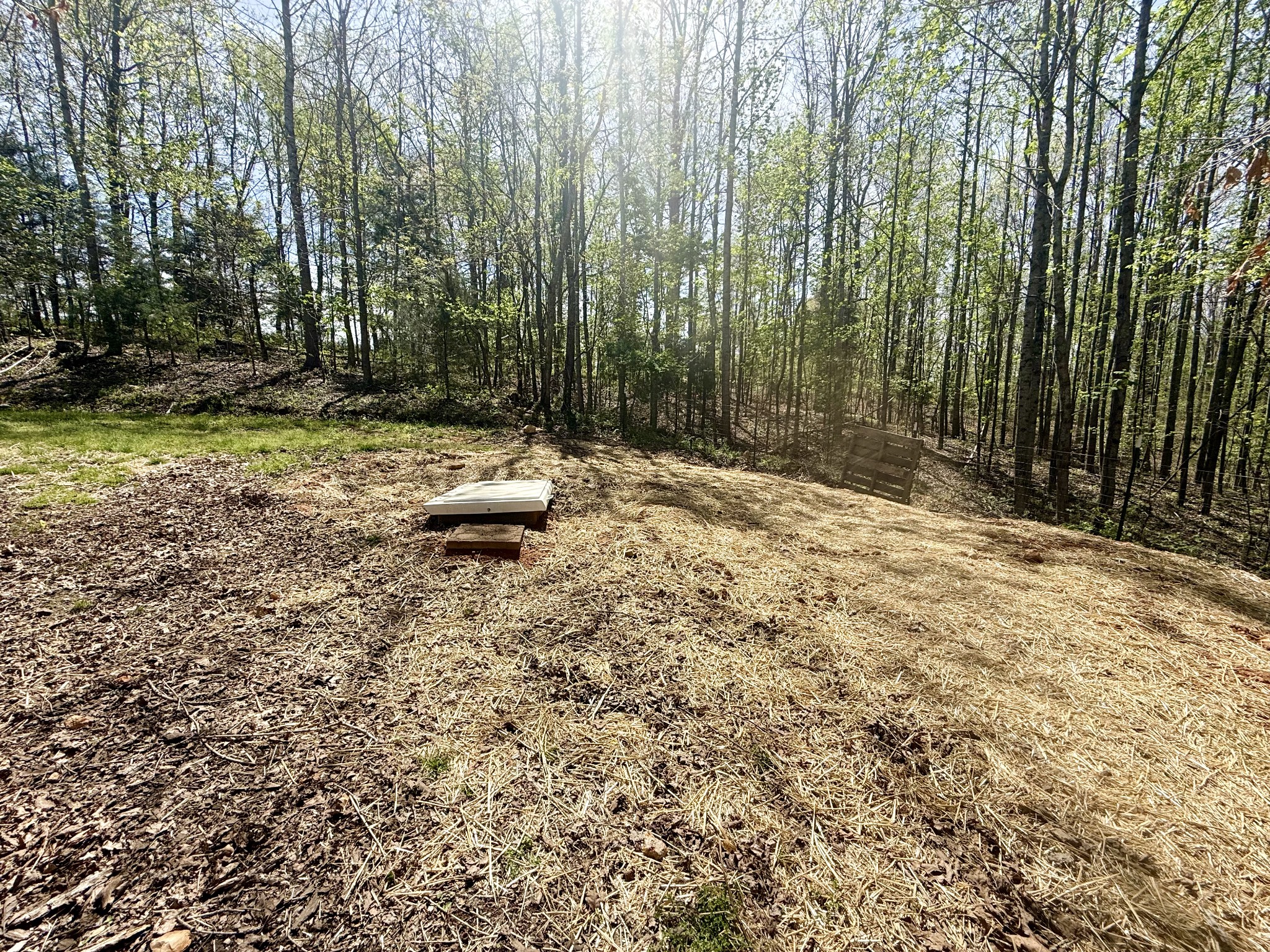 119 W Richview Rd
