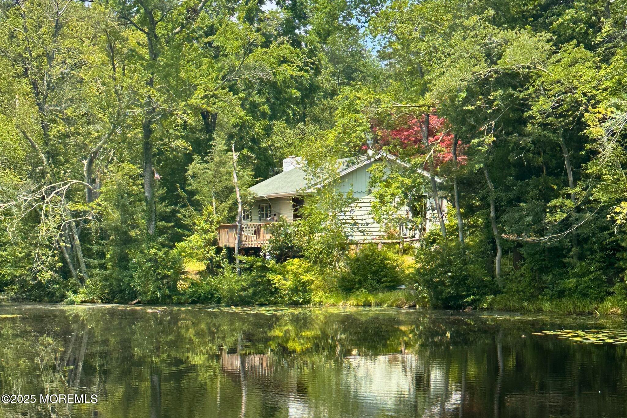 3 Orchid Street