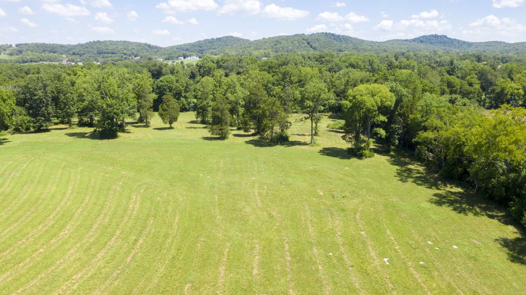3116 Old Murfreesboro Rd