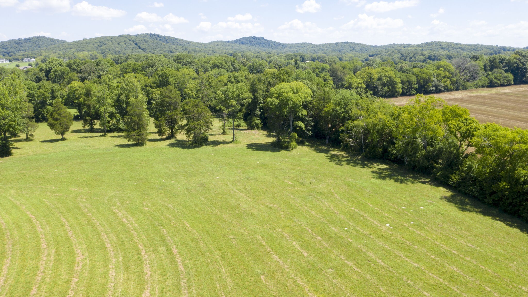 3116 Old Murfreesboro Rd