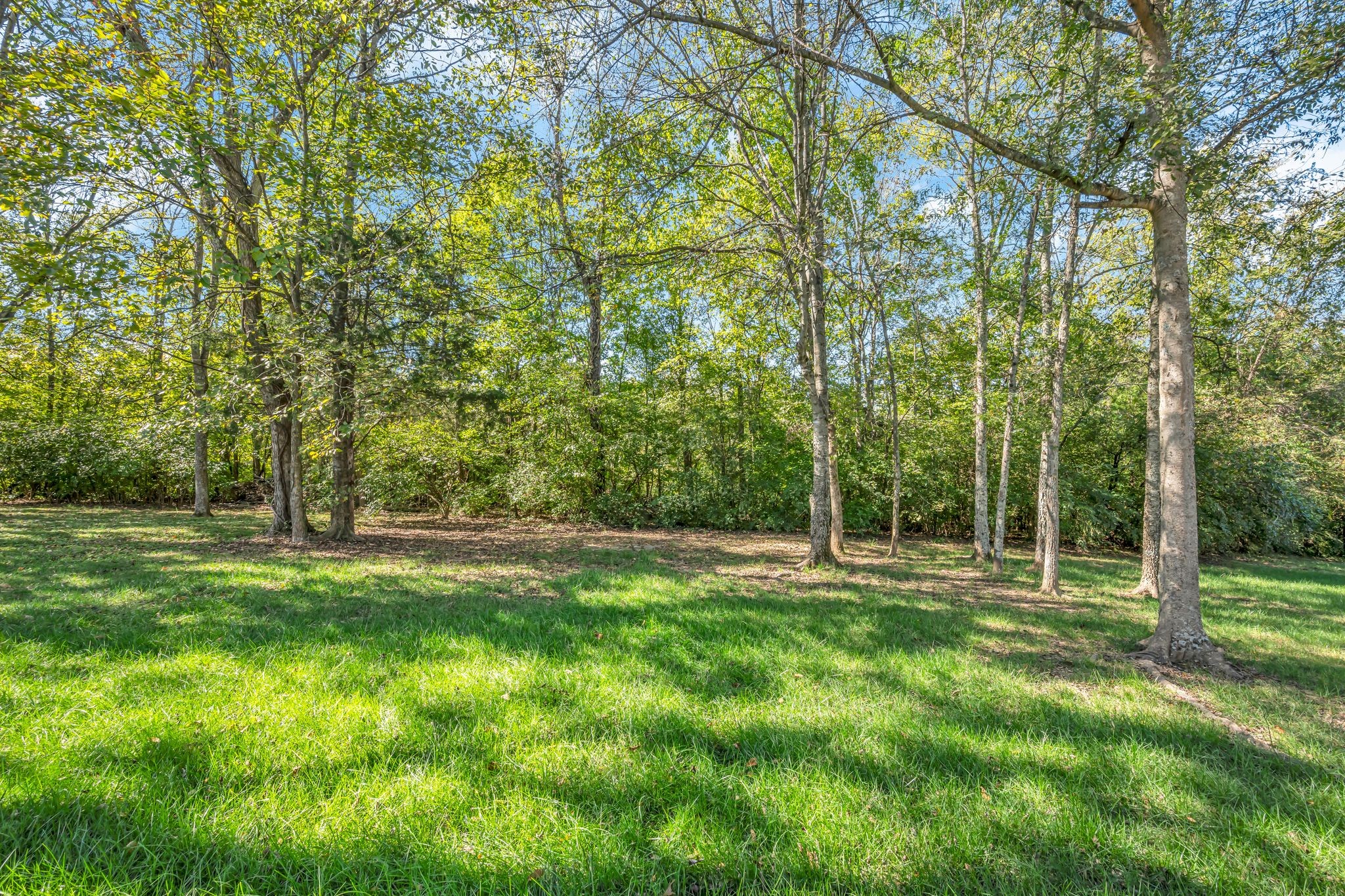 6537 Westfall Dr