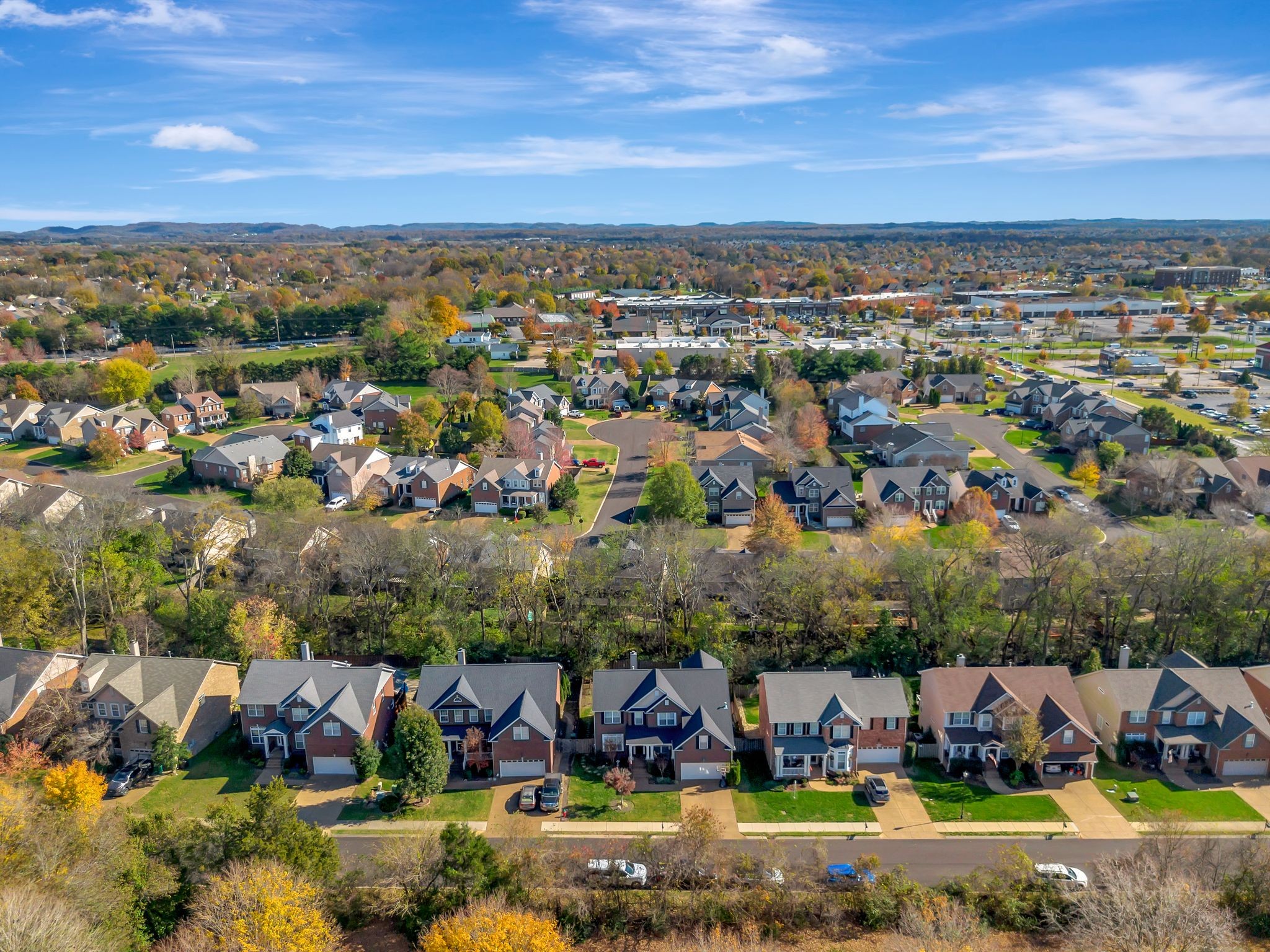 4041 Williford Way
