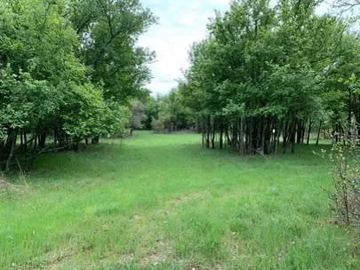 TBD County Road 468