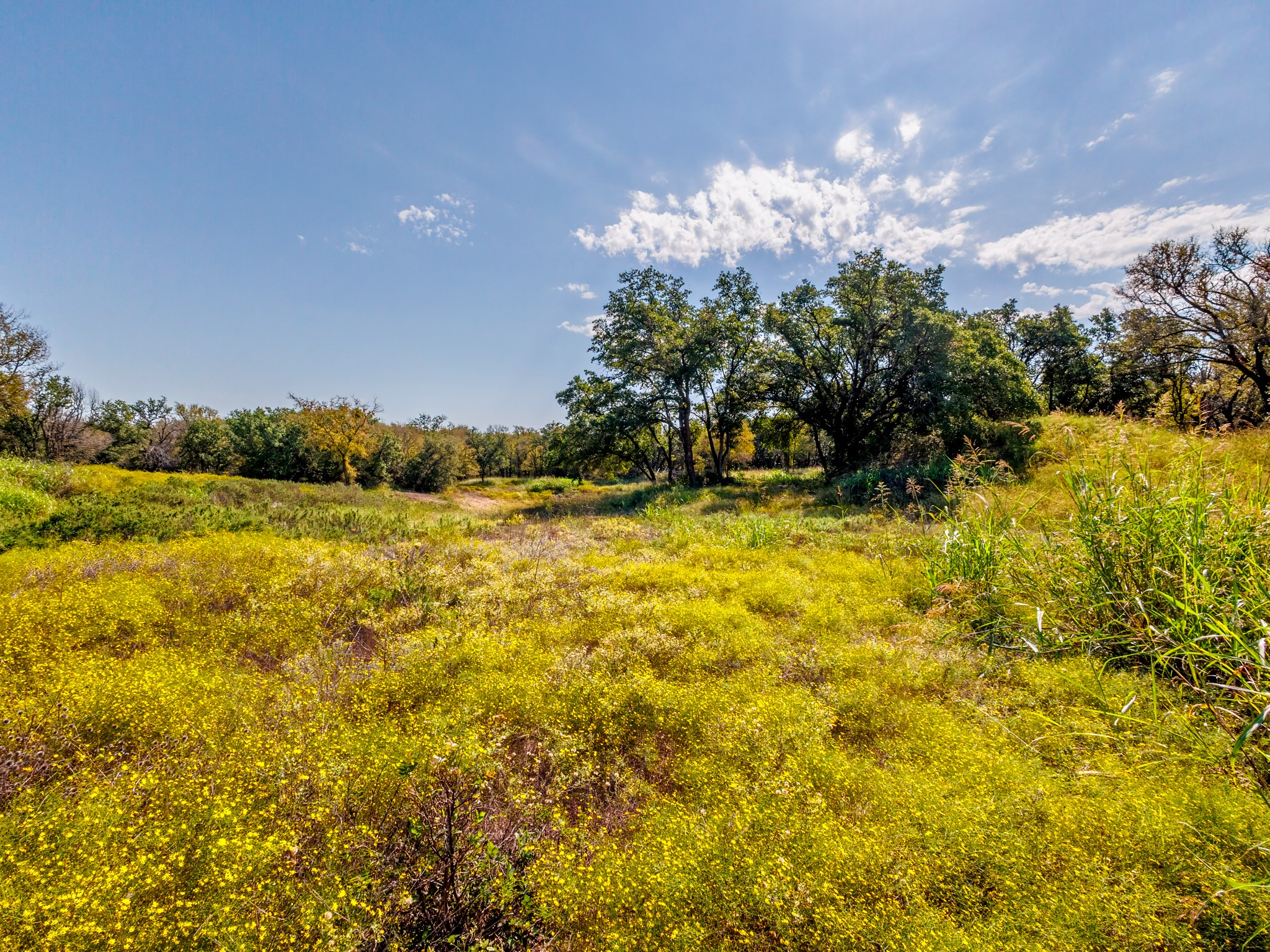 TBD County Road 468