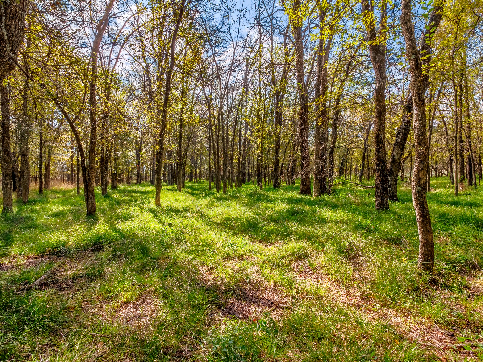 TBD County Road 468
