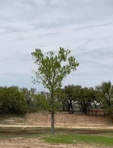 TBD County Road 468