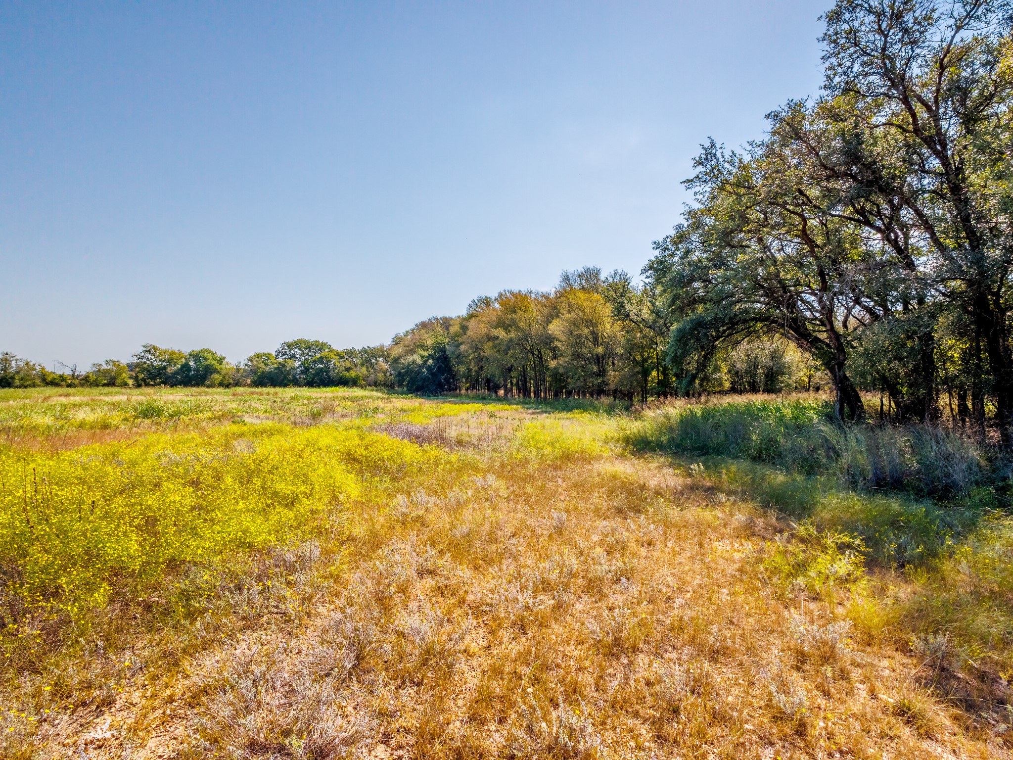 TBD County Road 468
