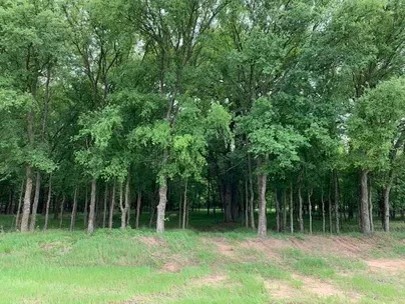 TBD County Road 468