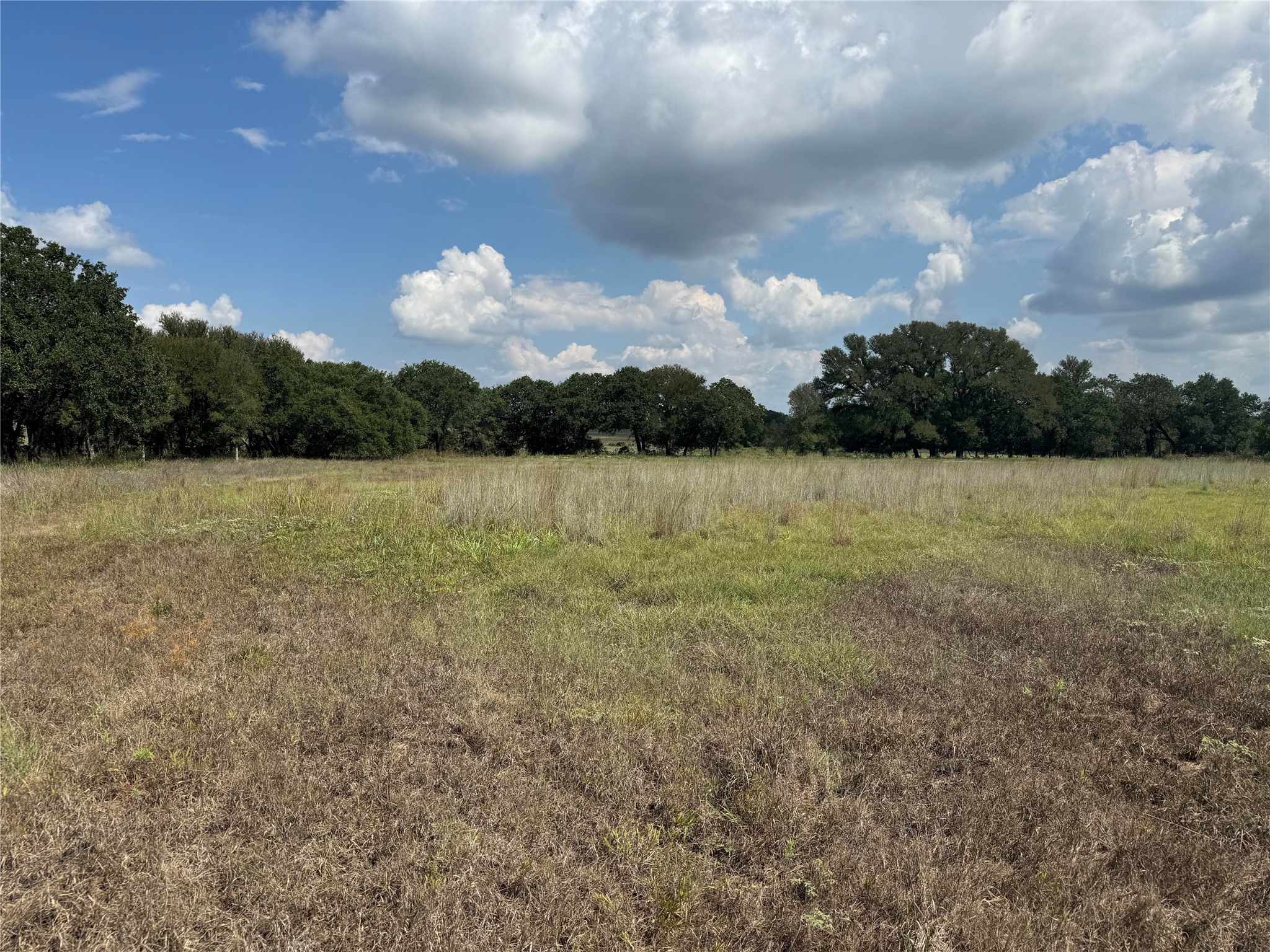 TBD County Road 468