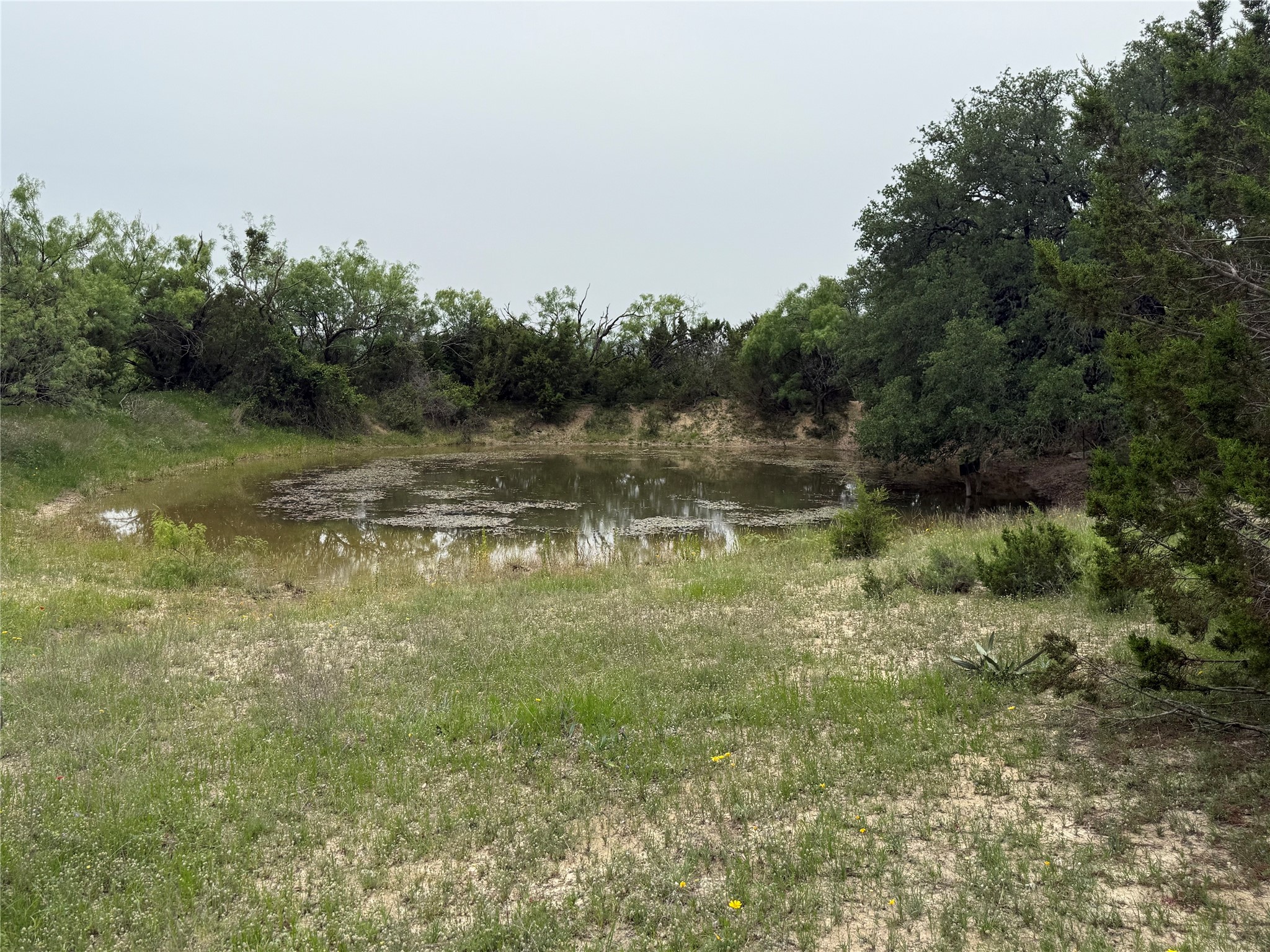 2700 County Road 235
