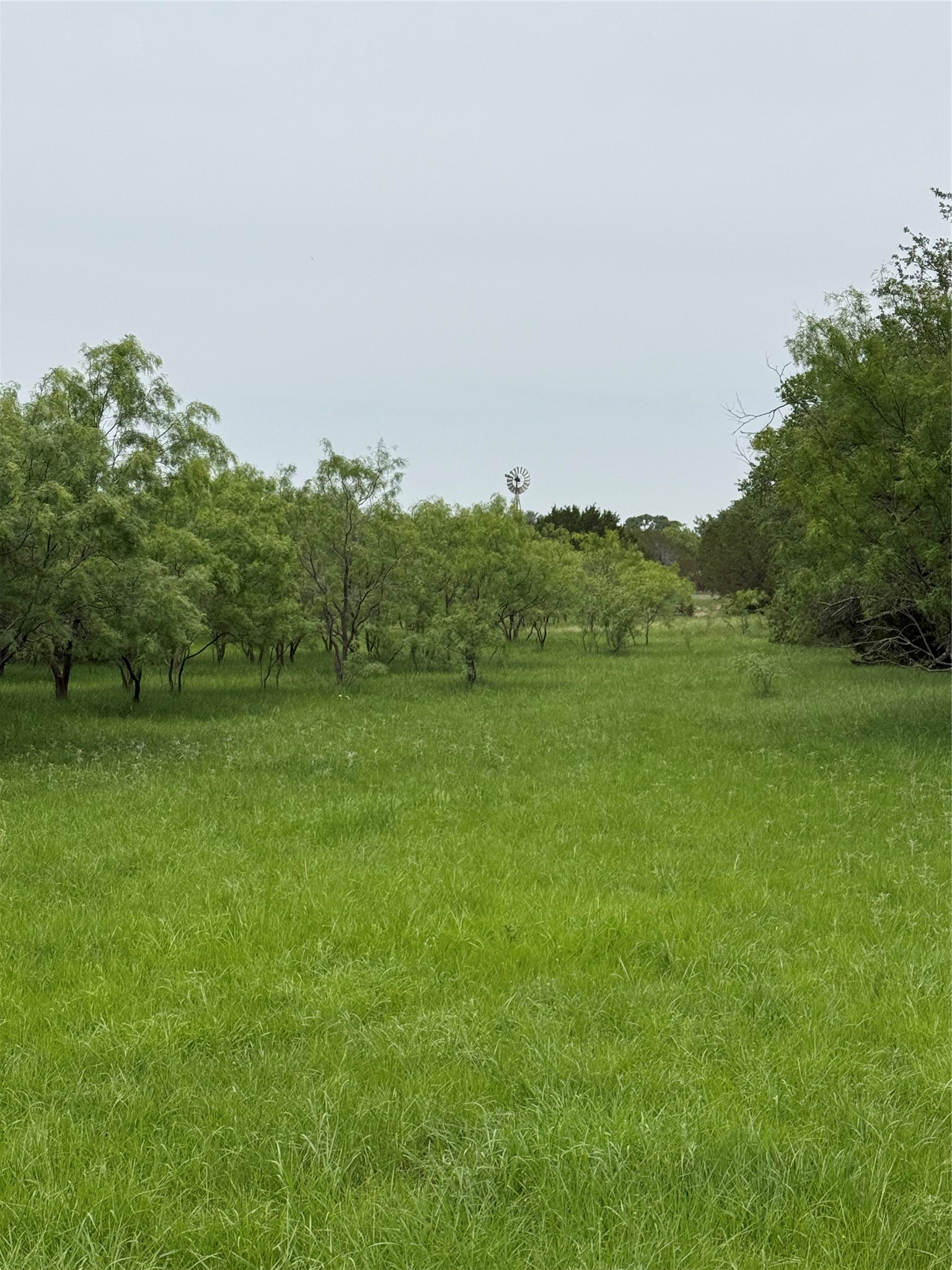 2700 County Road 235