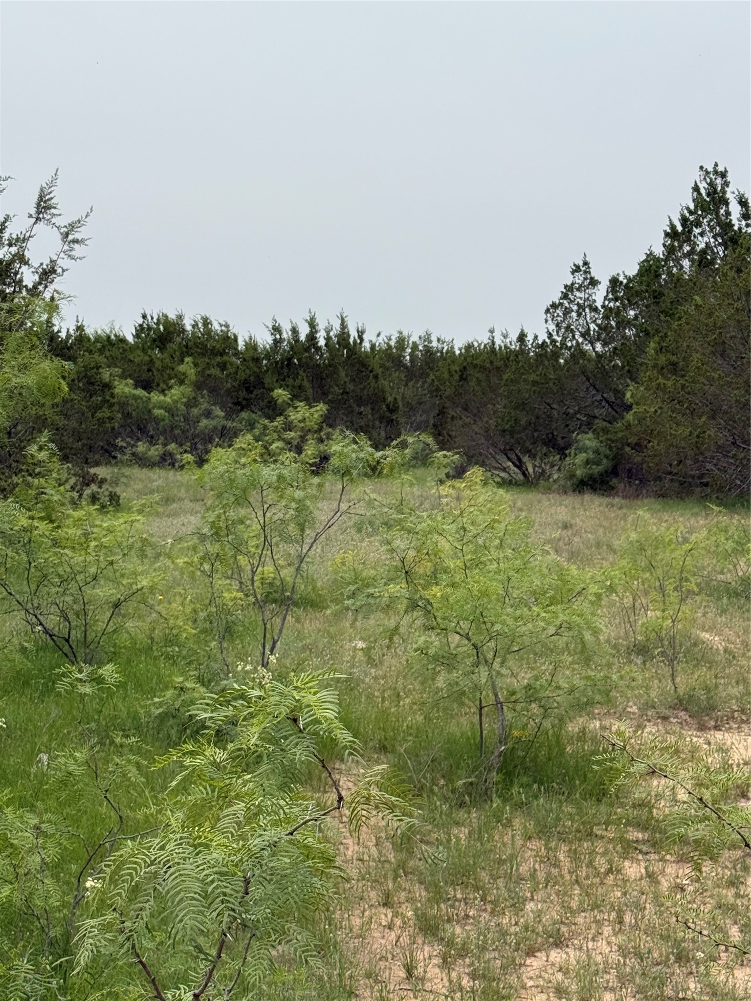 2700 County Road 235