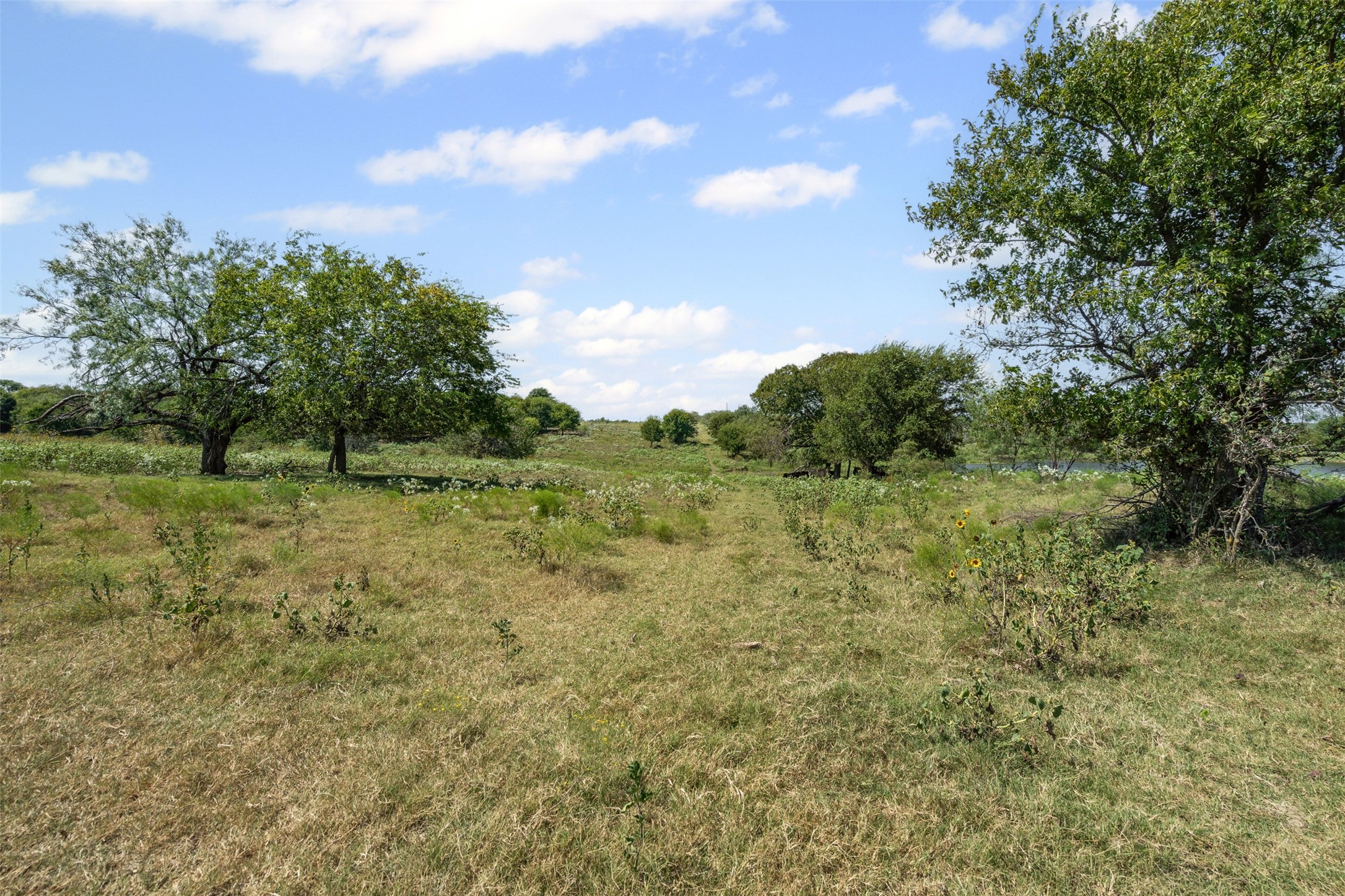 Lot 51 Private Road 451