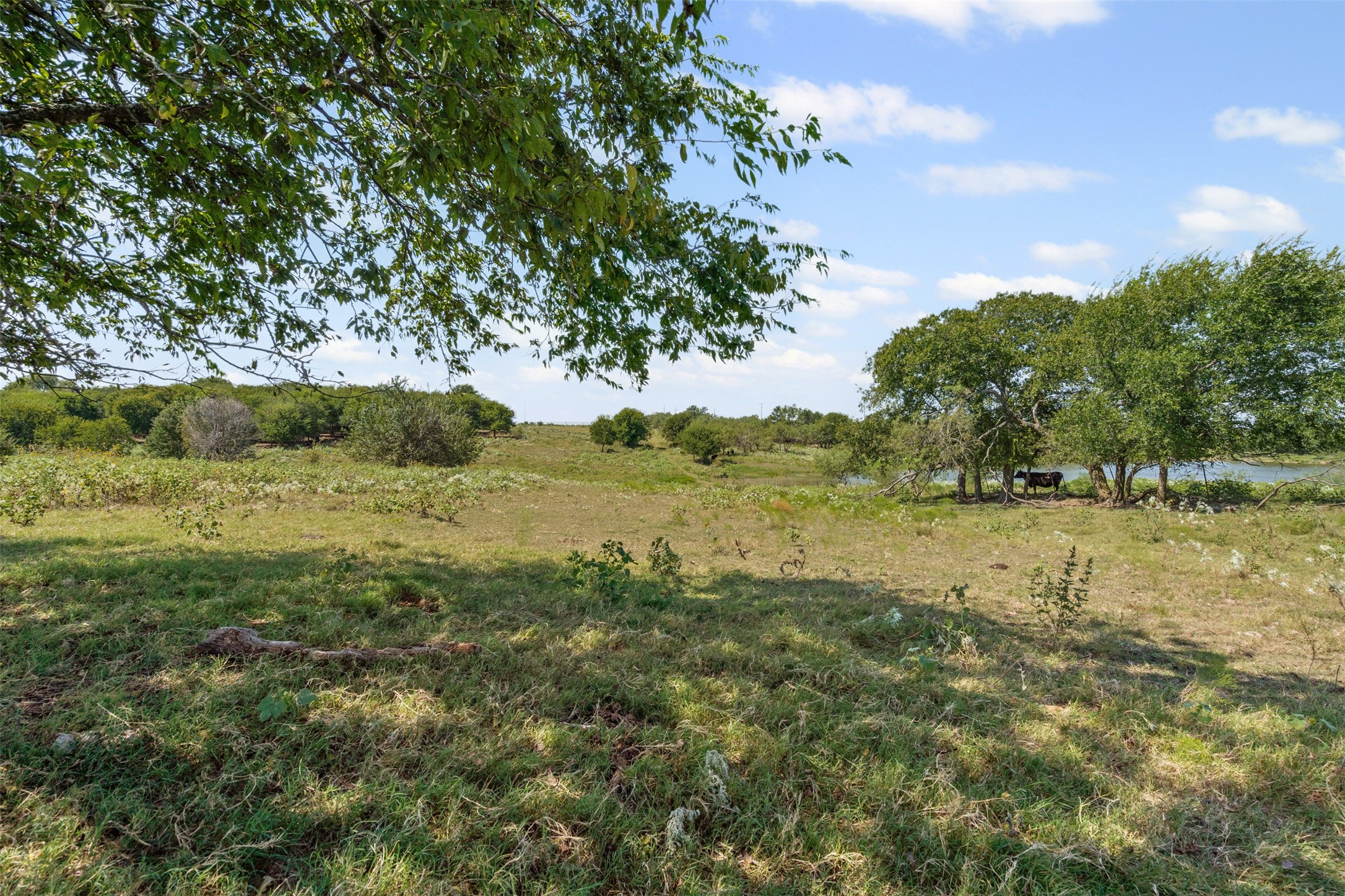 Lot 51 Private Road 451