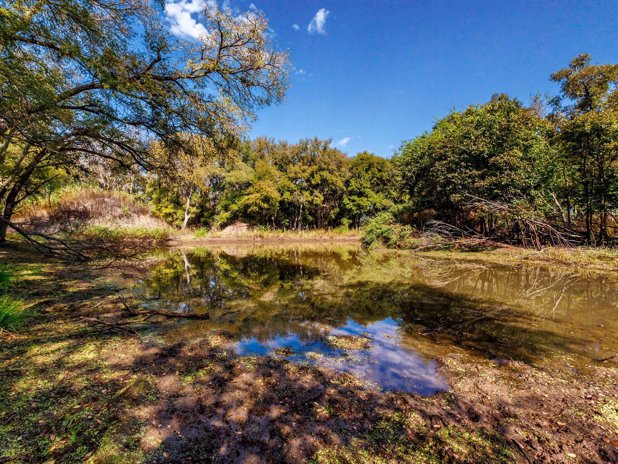 217 County Road 468