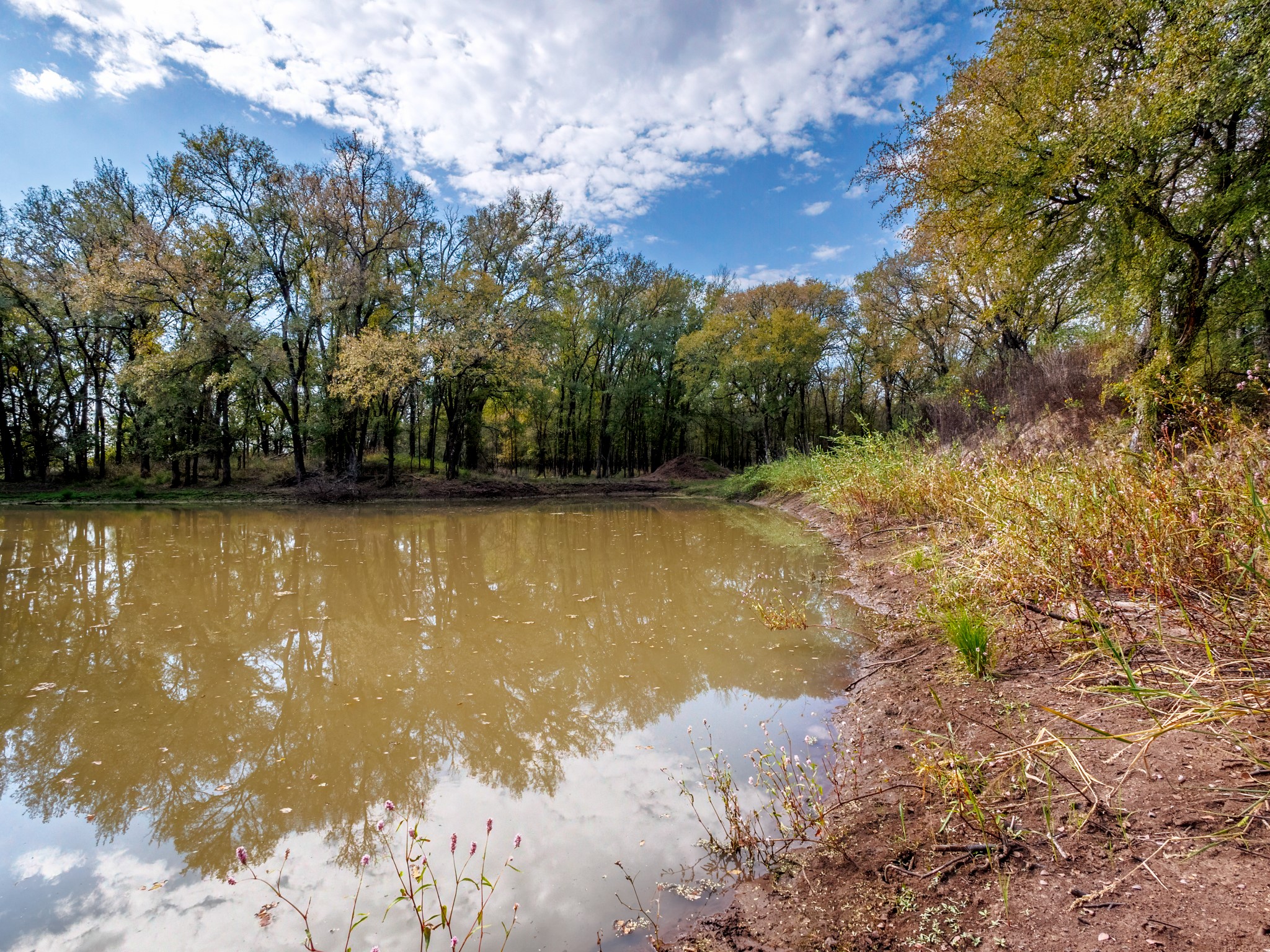 217 County Road 468