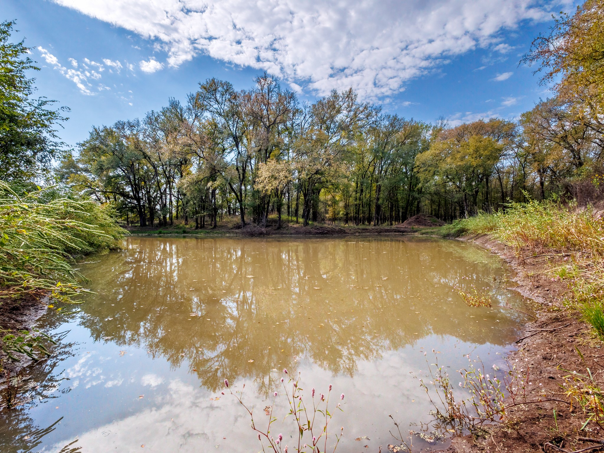217 County Road 468