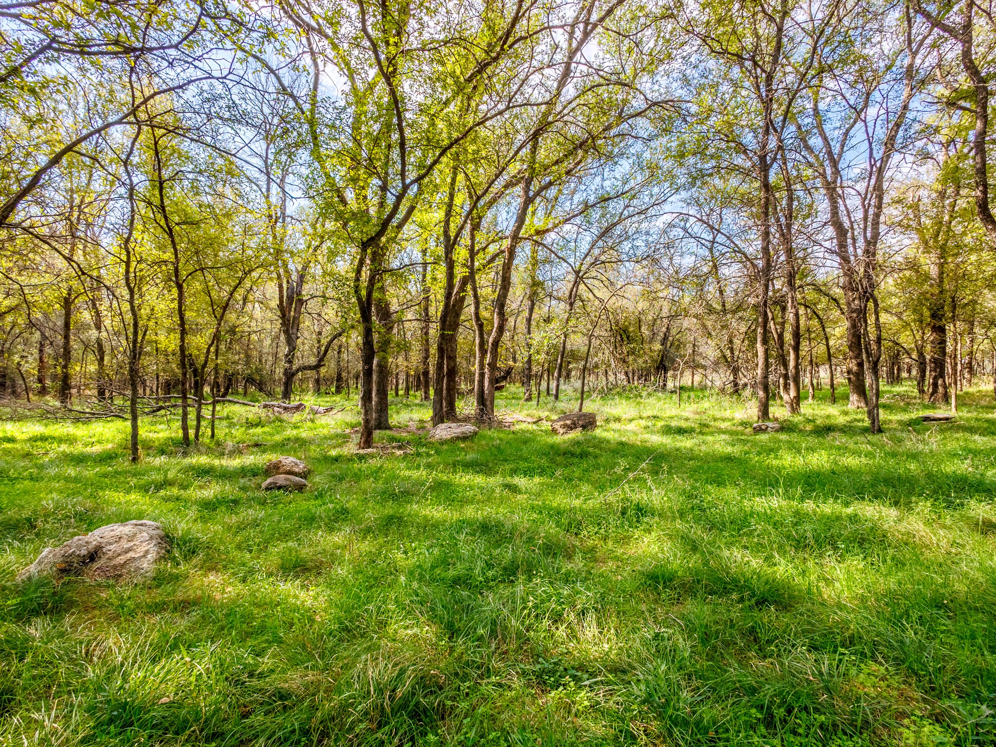 217 County Road 468