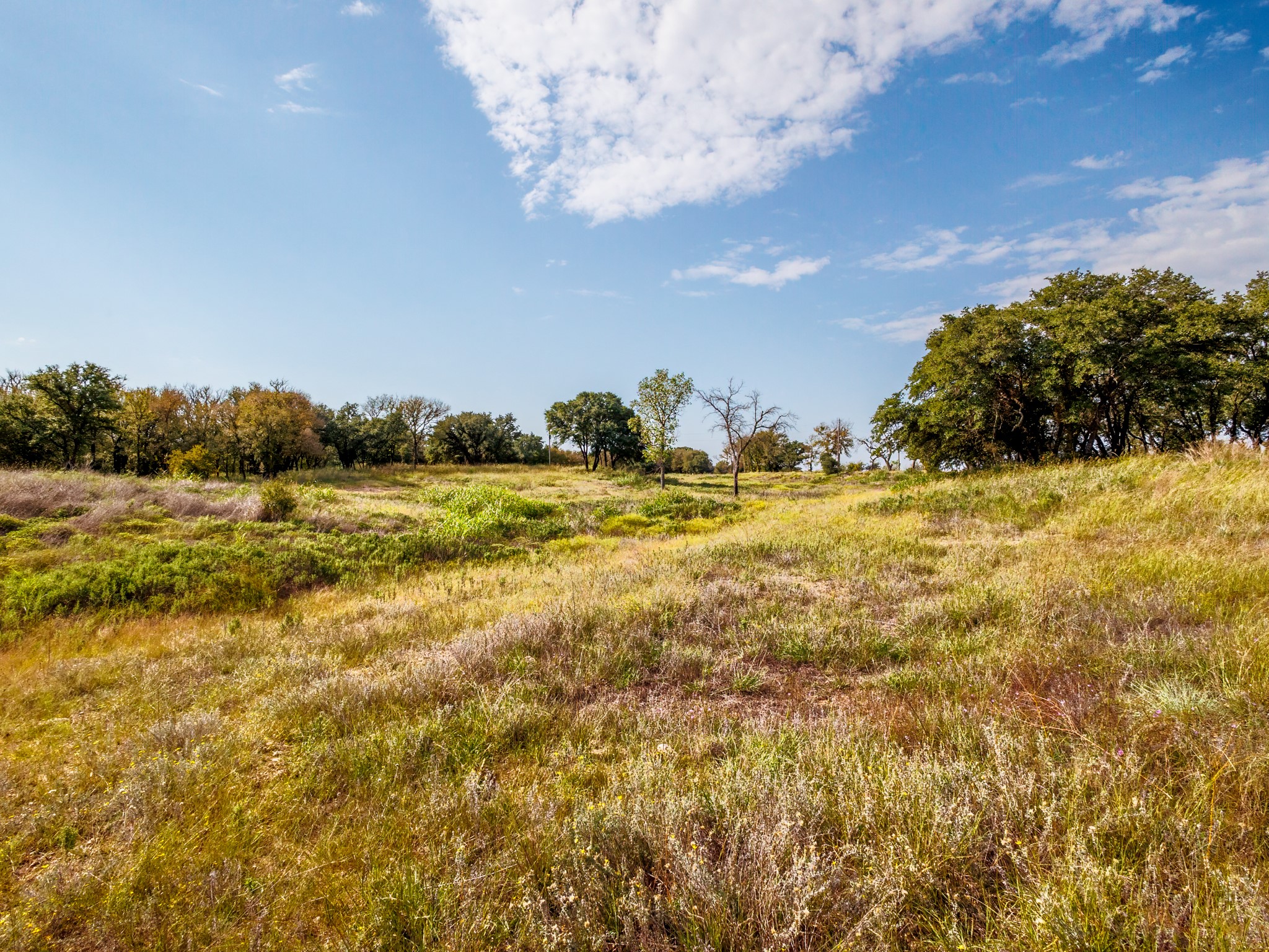 217 County Road 468