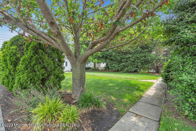 220 Ludlow Avenue