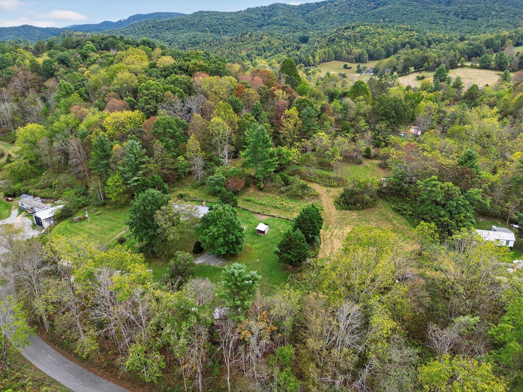 36016 Widener Valley Rd